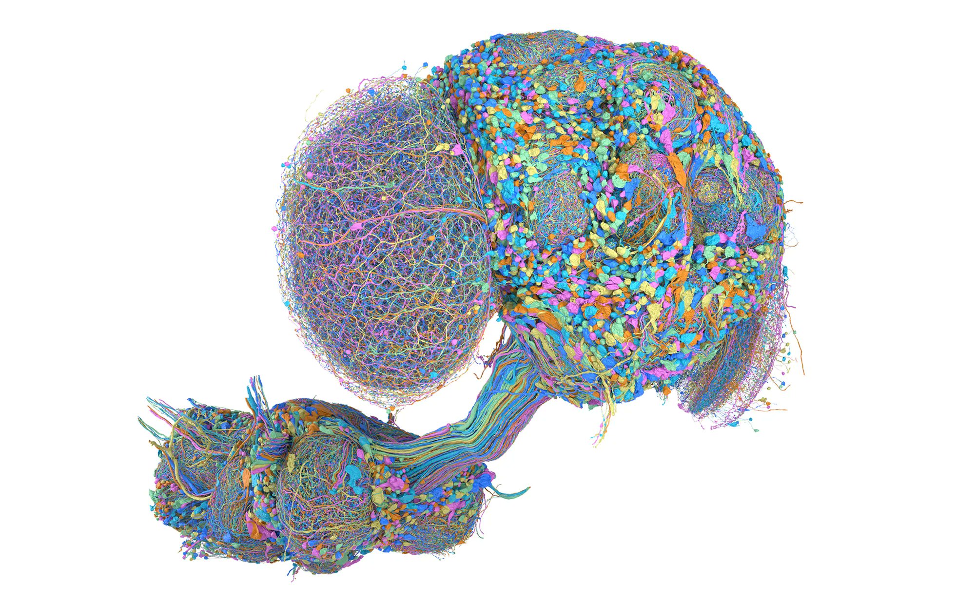 Image from the post
