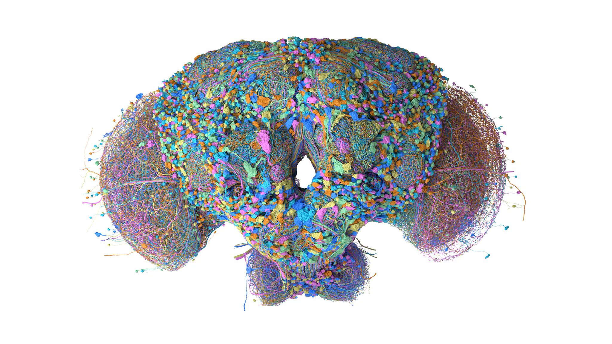 Image from the post